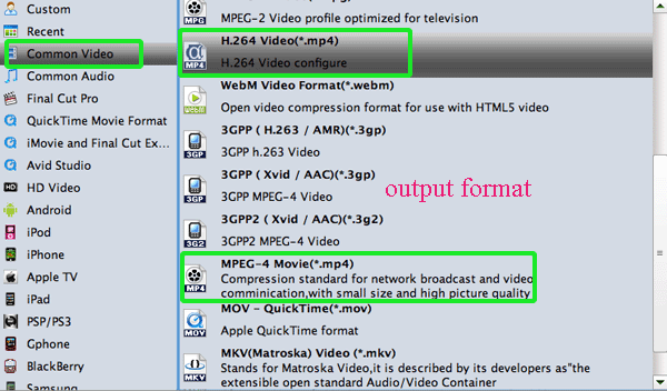 how to watch mkv files mac