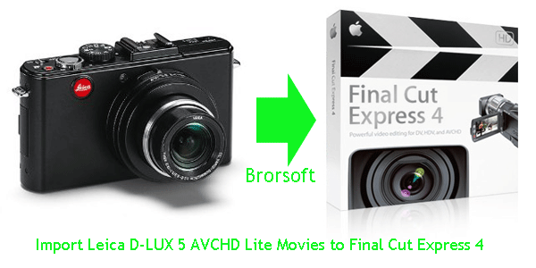 import-leica-d-lux-5-avchd-lite-movies-to-fce4.gif