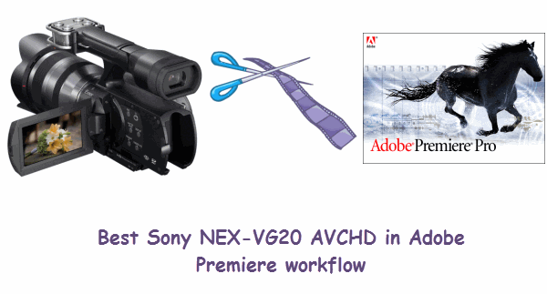 sony-nex-vg20-avchd-adobe-premiere.gif