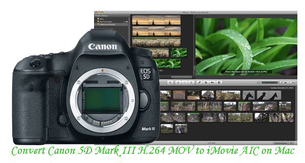 convert-canon-5d-mark3-to-imoive-mac.gif 