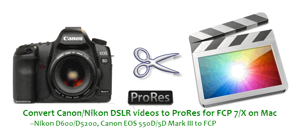 Nikon Vs Canon Dslr Video