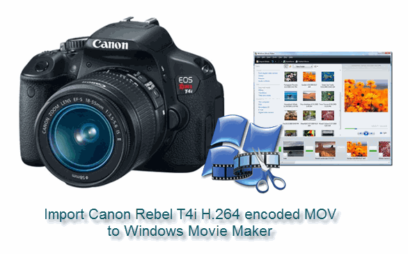 import-rebel-t4i-mov-windows-movie-maker.gif